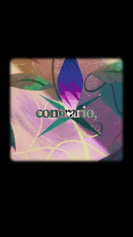 L’aquilone si alza con il vento contrario🪁 #citazioni #riflessioni #pensieripositivi #motivazione #leggerezza 