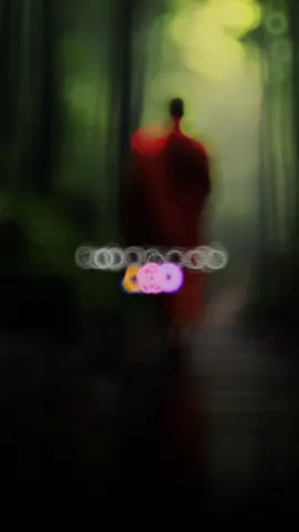 සියල්ල හැරදා යා යුතුය🙏🌸#CapCut #fyp #viral_video #trendingvideo #shifran_7777 #srilankatiktok #vairal #සබ්බං_පහාය_ගමනීයං_සියල්ල_හැරදා_යා_යුතුය #ධර්මදානයක්_වේවා 