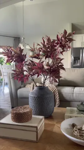 Acompáñame a buscar flores secas para el jarrón que pintamos ayer!  #falldecorating #falldecorating #fallaesthetic #autumndecor #autumnvibes #halloweendecor #vasedecor #agedvase #jarrones #vasijasdebarro #floresotoño @AtHomeStores 