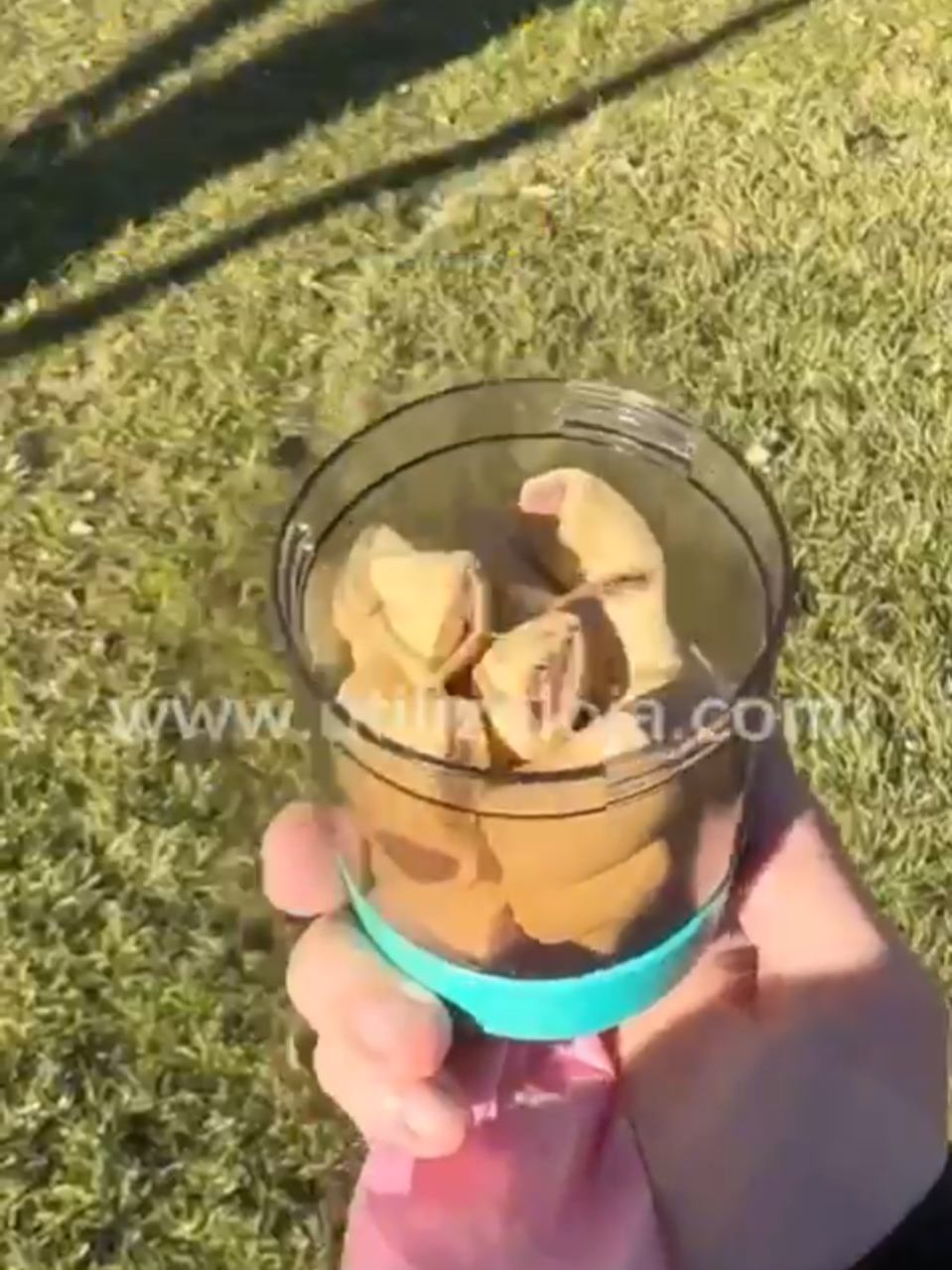 Não quer carregar muitas coisas quando for passear com seu pet? Eu te ajudo a simplificar isso! Com essa garrafinha 4 em 1, você vai aproveitar mais o seu dia! Link na bio