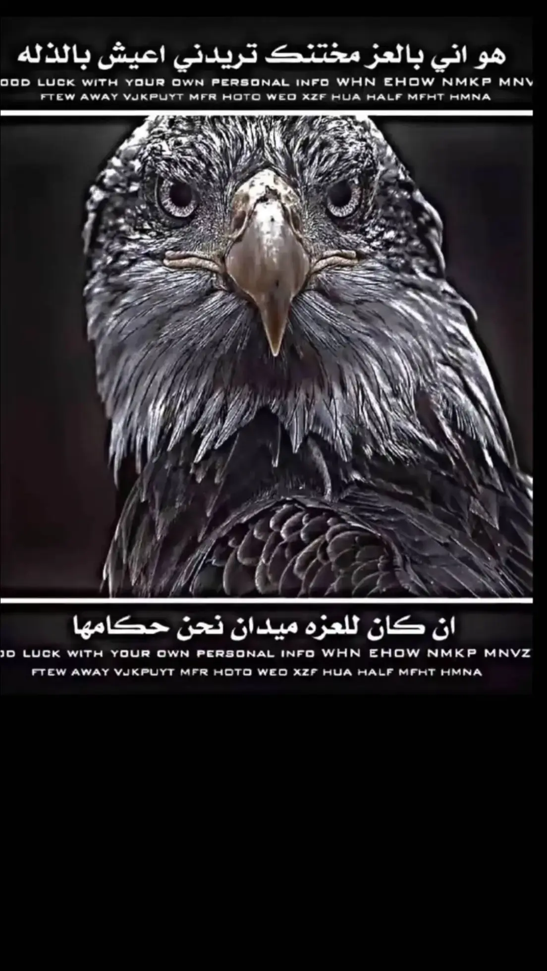 #عبارات_جميلة_وقويه😉🖤  #تصميم_فيديوهات🎶🎤🎬 