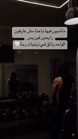 ترتيبات ربنا احسن اكيد لينا✨🤍 #strength #explore #gymcore #gymmotivation #aesthetics #gym #supportundergroundlifting #vhs #reels 