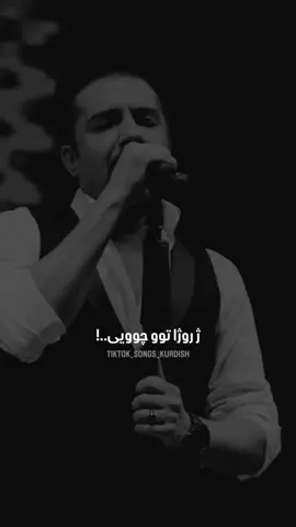 ژ روژا توو چوويي ژيان زيندانه 💔 #tiktok #songs_kurdish #foryou 