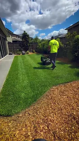 Lawn Mowing ASMR #fyp #asmr #satisfying #satisfaction #asmrvideo #foryoupage #satisfyingvideo 