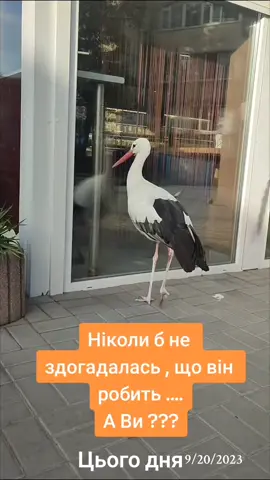 #цьогодня 