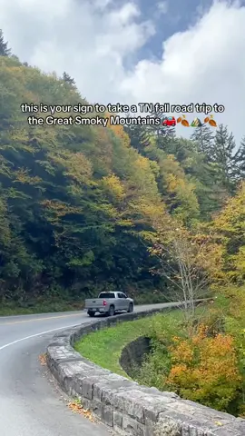 can’t beat the Smokies in the fall 🍂🫶🏼 this is what a fall road trip will look like in 2 weeks at the highest elevations!  🚗 the last 2 falls we drove to the Great Smoky Mountains National Park during the first week of October and it was SO beautiful  📍Gatlinburg to Newfound Gap *be aware fall is an extremely crowded time in the Smokies and parking is limited - go early or on a rainy day to beat the crowds anyone taking a fall trip to Gatlinburg soon?  #gatlinburg #smokies #greatsmokymountains #greatsmokymountainsnationalpark #fallcolors 