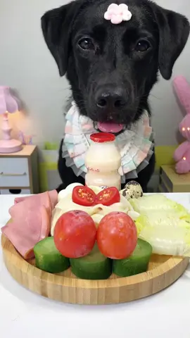 #labrador #Foodie #pets #dog #cute 