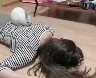 🐰 massage #bunny #bunn #baby #fypp #b #meow #meandwho #cute #Love #bunnies #us #viral #fyp 