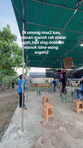 Amiin mugi mugi milu dadi wong sugeh🤲😇 #muraibatu #muraibatuindonesia #kicaumania #kicaumanianusantara #kicaumaniaindonesia #fypシ゚viral 