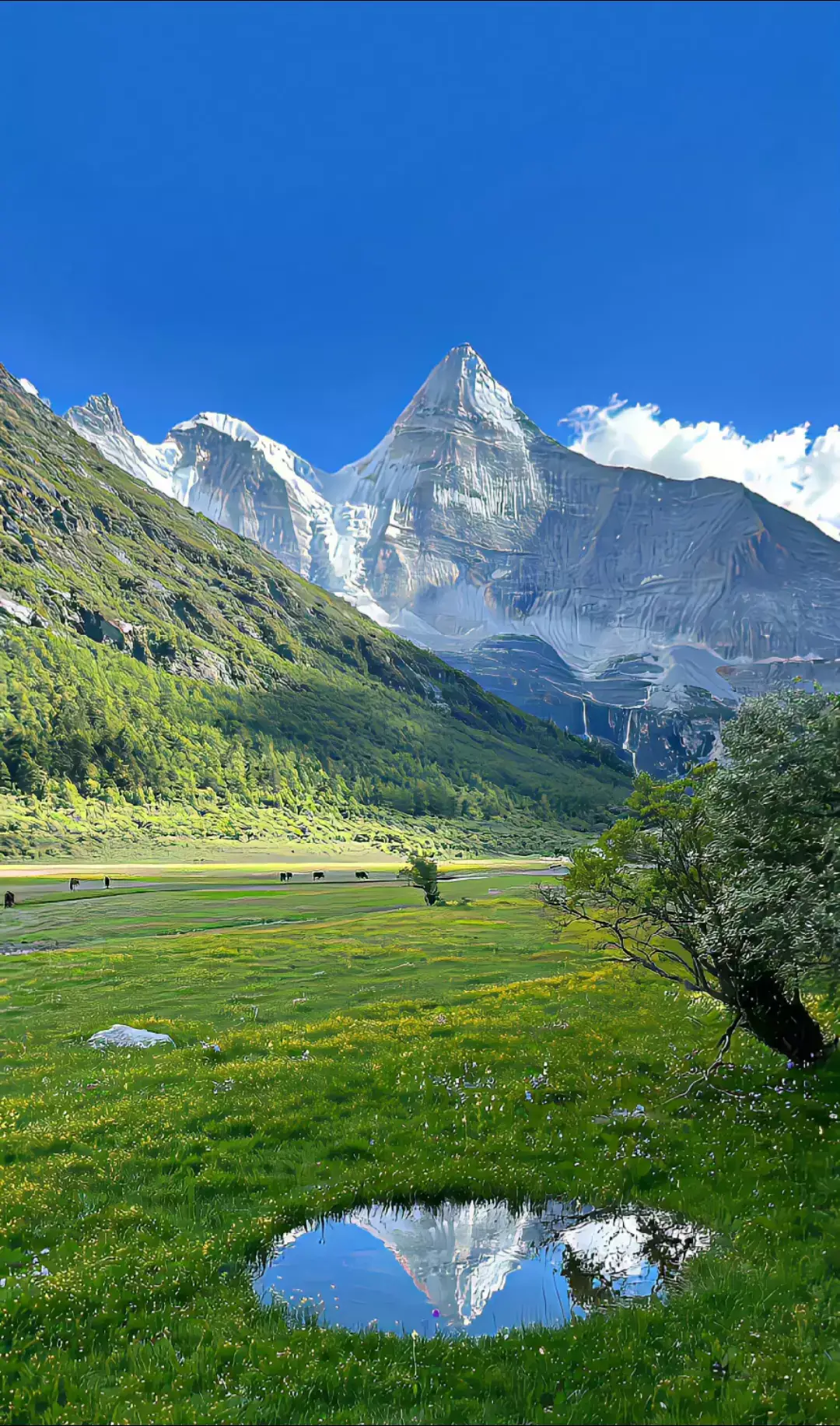 P2 |Sưu tầm hình nền điện thoại đẹp 🍃🌥 #hinhnendienthoai #anhdep #phongcanh #trendingvideos #xuhuongtiktok #viraltiktok 