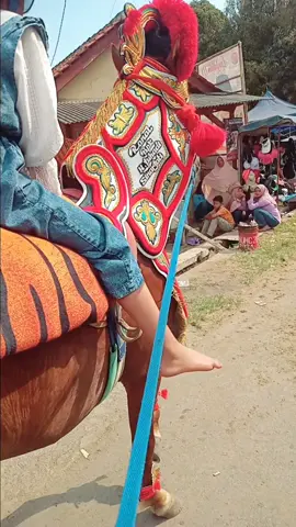 asal oyag padu hideup weh nya@kykyanggara4 😅 #ronal #kudasironal #ronalstable #kudarenggongmajalengka #kudarenggongbandung #kudarenggongsumedang 