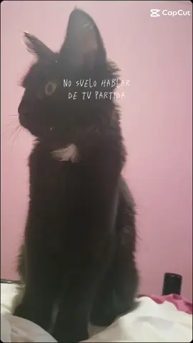 2 años.