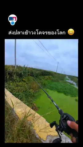 🎥 _gogo_fishing #ตกปลา #fishing #ทะเล 