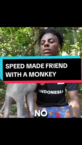 Speed made friend with a monkey named George in BALI Indonesia 🤣🤣 #fyp #ishowspeedclipz #ishowspeed #indonesia🇮🇩 #bali #fypp @ishowspeed 