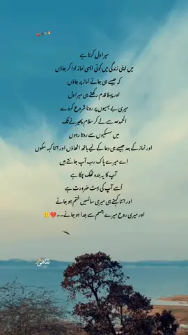 میرا دل کرتا ہے میں اپنی زندگی میں کوئی ایسی نماز ادا کر جاؤں کہ جیسے ہی جائے نماز پر جاؤں اور پہلا قدم رکھتے ہی میرا دل میری بے بسیوں پر رونا شروع کردے الحمد للہ سے لے کر سلام پھیرنے تک میں سسکیوں سے روتا رہوں اور نماز کے بعد جیسے ہی دعا کے لیے ہاتھ اٹھاؤں اور اتنا کہہ سکوں اے میرے پاک رب آپ جانتے ہیں آپ کا یہ بندہ تھک چکا ہے اُسے آپ کی بہت ضرورت ہے اور اتنا کہتے ہی میری سانسیں ختم ہو جائے اور میری روح میرے جسم سے جدا ہو جائے۔ #foryou #poetry #burhan_tv #poetrystatus #flypシ #100k #shami_writes9 #unfrezzmyaccount 