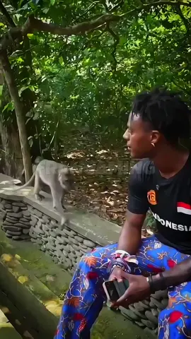 EL KECEPATAN AKHIRNYA MENEMUKAN TEMANNYA 🥰 #ishowspeed #bali #monkeyisland 