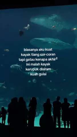 #fypage #xyzbca #fypyourpage #fyppppppppppppppppppppppp 