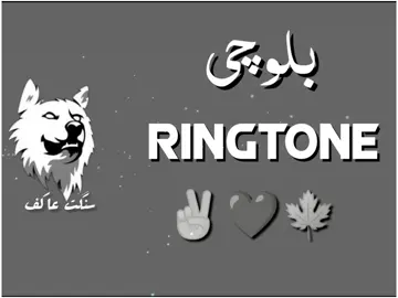 #سنگت_عاکف_عالم 