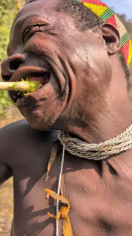 This is traditional and natural Way of brushing teeth without using any artificial toothpaste 😀#hadzabetribe #africastories #tiktokindia #USA #UK 
