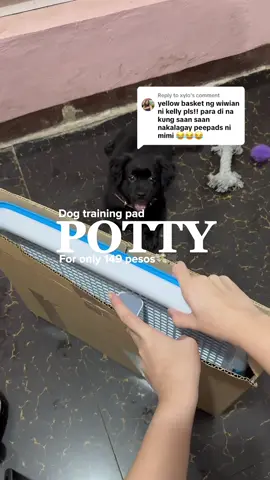 Replying to @xylo Dog Potty training pad 🐾🐶 #dog #dogessentials #pottytray #trainningpad #peepadsfordogs 