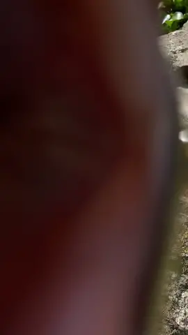 Replying to @chekk0rz  your wish can come true!