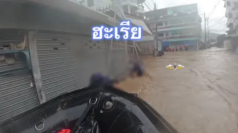 ฮะเรีย…ฮะเรีย เบื้องหลังปฏิบัติการเข้าช่วยเหลือผู้ประสบภัยน้ำท่วมในพื้นที่อำเภอแม่สาย หน่วยซีล…รบพิเศษแห่งราชนาวีไทย นำวิธีทำงานของลูกทะเลมาใช้ฝ่ากระแสน้ำที่ไหลเชี่ยว เข้าไปช่วยประชาชน ฮะเรีย เป็นภาษาทหารเรือที่แปลว่า ปล่อยให้ยาวออกไป เช่น ฮะเรียสมอ คือ ปล่อยโซ่สมอให้ยาวออกไป  การนำเรือยางพาหนะคู่กายของมนุษย์กบล่องไปในกระแสน้ำเชี่ยว เขาใช้การผูกเชือกที่หัวเรือ และท้ายเรือ ยึดไว้กับหลักหรือเสา แล้วค่อยๆฮะเรียเชือก จะสามารถควบคุมทิศทางของลำเรือไม่ให้โดนกระแสน้ำพัดไปล่มได้ มาดูวิธีปฏิบัติของมนุษย์กบกันครับ #น้ำท่วมเชียงราย #ซีลช่วยน้ำท่วมเชียงราย #ThaiNavySEAL