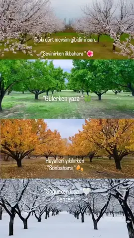 #ilkbahar #sonbahar #yaz #kış#anlamlıvideolar #anlamlısözler #güzelsözler #tiktok #anlamlıvideolar #kesfetteyiz 