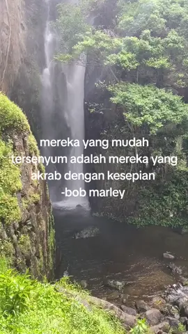 bob marley ❤️💛💚