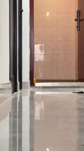 #cat #funnycat #cutecat #catsoftiktok 