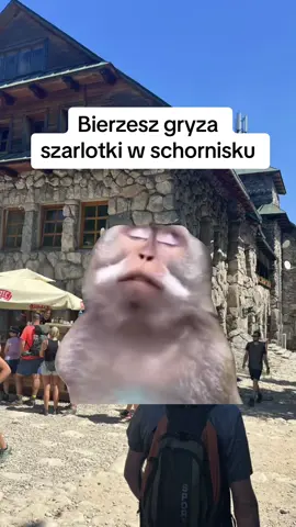 #Meme #mountain #Hiking #góry #schronisko #funny 