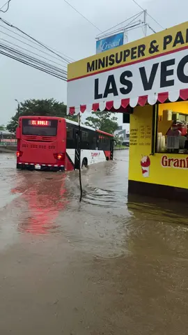 #inundacion #diputados #municipalidad #rodrigochaves #agua #international 