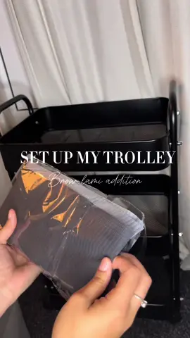 ✨Set up my Brow Lamination trolley with me✨ #browlamination #browtech #SmallBusiness #fyp #fypp #glorytogod 
