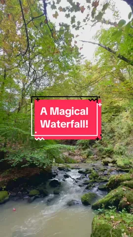 A hunt for a most magical waterfall. Sometimes the best part of a journey is the friends we made along the way! From the trees to the moss. Even you guys! I love you all dearly! Be kind yourselves, okay? ✨Boop!✨ #waterfall  #Hiking #Outdoors #naturetherapy #innerchild #greentherapy #naturewalk #nature #forest #woodland #dailygrass #grass #adventure #exploring #yeet #boop #ptsd #cptsd 