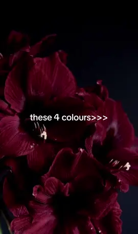 most perfect colours 😩#aesthetics #colour #perfect #fy #fyp #foryouu #foryoupagee 