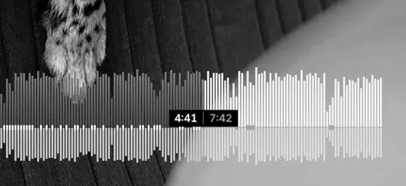 #fyp #4u #_j65p ودوني ودوني❤️