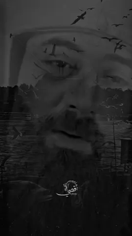 الروح ماتت #💔🥺 #شوية_عتب #راقية_بزوقي🦋💚 