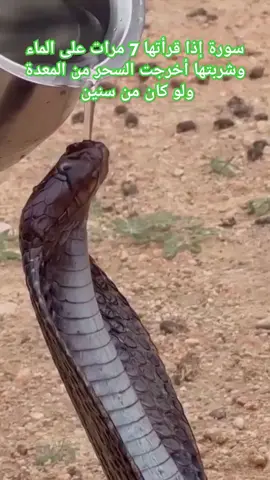 #سبحان_الله_وبحمده_سبحان_الله_العظيم #صلى_على_رسول_الله_صل_الله_عليه_وسلم 