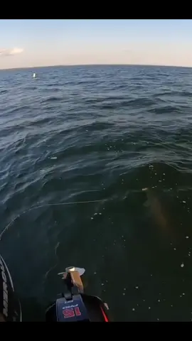 Monster Musky! Intense Battle! #CapCut 