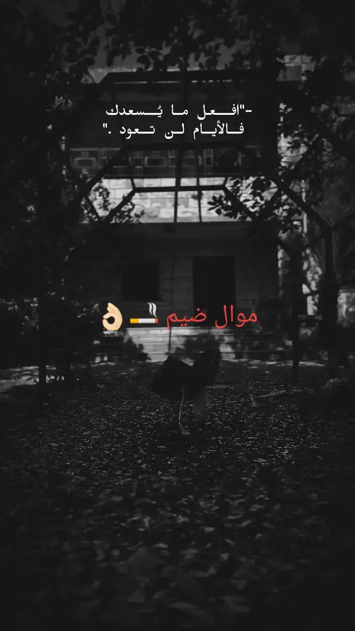 #توصيني_اعله_ياذمه_توصيني  #طرب_عراقي_اصيل #موال_حزين_يشلع_الكلب😔  #طربيات_الزمن_الجميل_🎼🎶🎻♥️🌹 #fyp #طرب_قديم_الزمن_الجميل_أكسبلور💛😌 #قحطان_العطار #سوريا_تركيا_العراق_السعودية_الكويت_عمان 