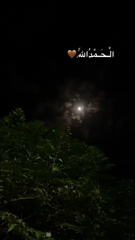 #oops_alhamdulelah 🤎🤲🏼