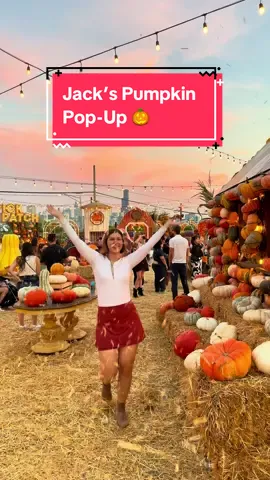 Chicago’s largest fall pop-up experience is BACK and better than ever! 🎃 Jack’s Pumpkin Pop-Up is 2 acres packed with seasonal fun for all ages. Here’s what to expect: 🐂 Mechanical bull riding (New!) 🐖 Pig racing ride (New!) 🌽 The city’s largest corn maze 🔮 Fortune telling and tarot reading  🪓 Axe throwing 🎯 Carnival games 🍎 Fall treats 🍹 Seasonal drinks 📸 100s of photo ops 🎃 Take home a pumpkin! Open now through 11/3 📍 Jack’s Pumpkin Pop-Up
