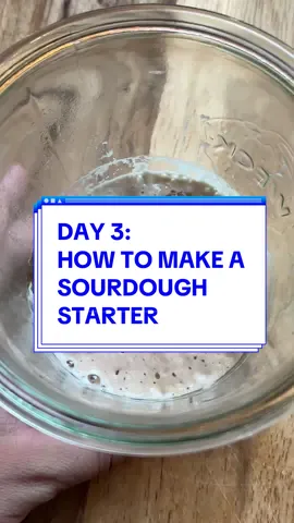 Day 3 How to make a sourdough starter #sourdough #sourdoughtok #sourdoughstarter #sourdoughclub #sourdoughtiktok #howtomakesourdough #howto #howtomakeasourdoughstarter 
