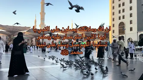 المدينة المنورة 🕊️ #explore #اكسبلور #المدينه_المنورة #طمأنينه #سكينة 