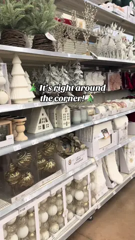 🎄 Christmas is comin’ 🎄#cantwaitforchristmas #christmascountdown #christmastime🎄 @Walmart 