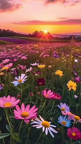 Beautiful Piano Music #meditationmusic70 #nature #piano #music #lovestory #relaxation #meditation #beautiful #calm #explore #fyp 