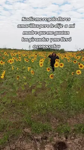 #teamomamá♡♡♡  #girasoles🌻 💗 #santacruzdelasierra🇳🇬 