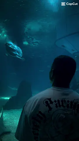 मन को कथा लेखु भने  ❤️ #pourtoi #nepalitiktok🇳🇵 #okhaldhunga #france🇫🇷 