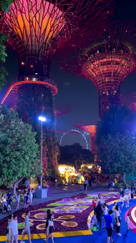 #fypシ゚viral #viralvideo #foryou #foryou #singapore 