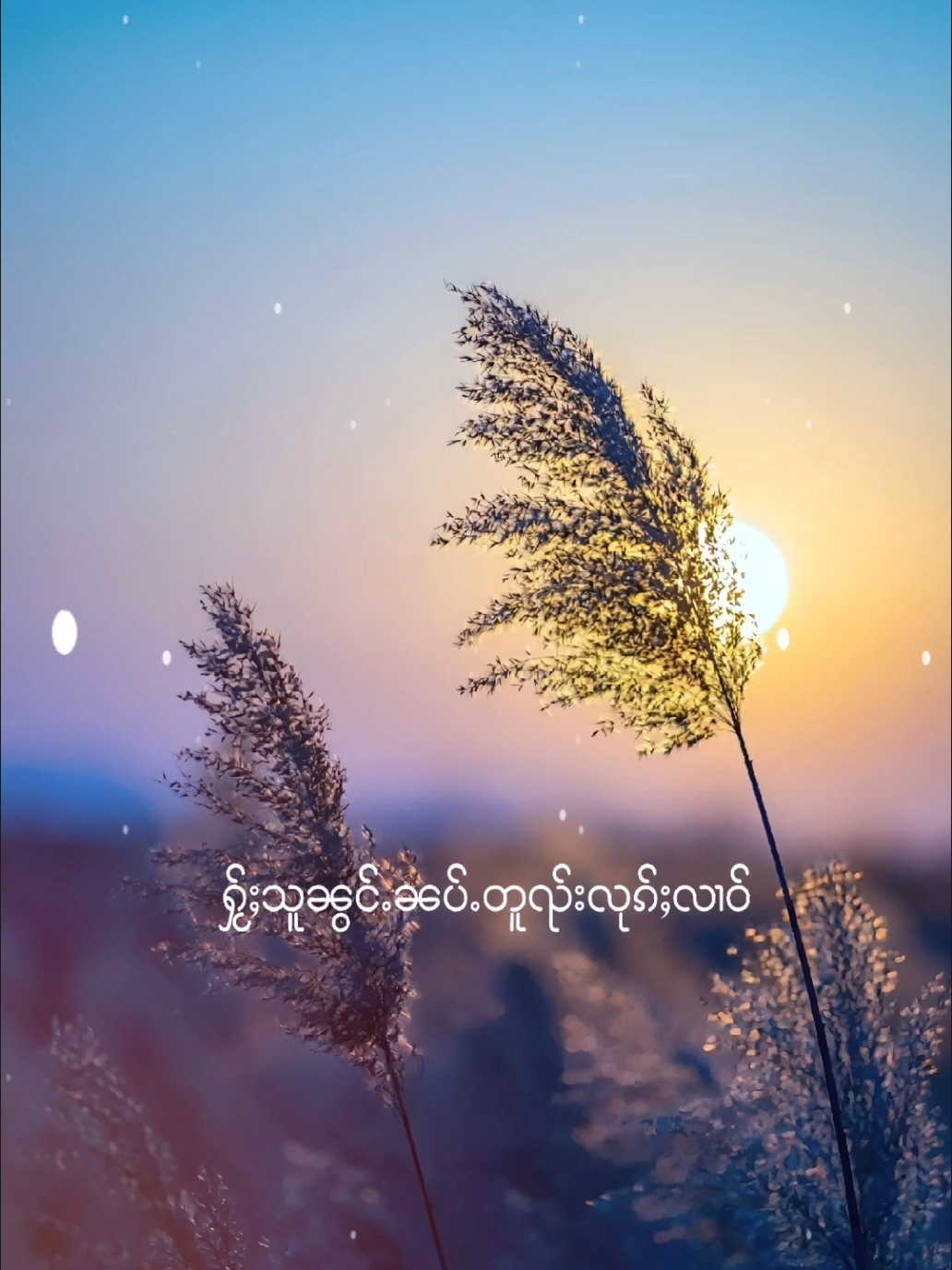 #CapCut #เพลงลงสตอรี่ #เพลงเศร้าๆ #ၽဵင်းၵႂၢမ်းတႆး #ၵေးၼမ်ႉသႂ် #ၶိုၼ်းလိူၼ်လၢဝ် #🇱🇹🇱🇦🇲🇲🇹🇭🇰🇭 #เพลงเศร้าๆ 
