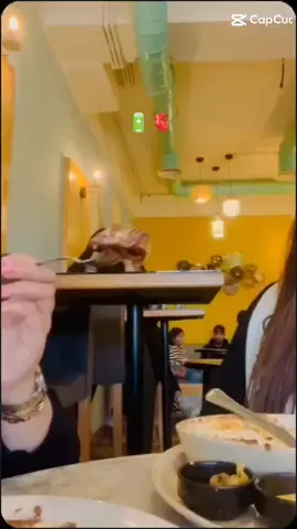 #CapCut #fypシ #ليبيا_طرابلس_مصر_تونس_المغرب_الخليج #frppppppppppppfyp #🇹🇳🇩🇿🇲🇦🇱🇾🇪🇬 #CapCut #ليبيا #تونس #trend #friendshipgoals 